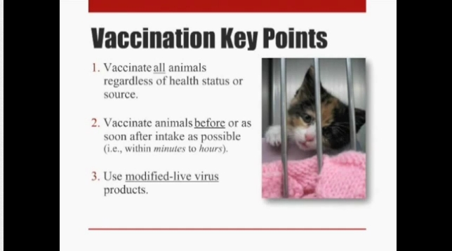 Vaccination Points